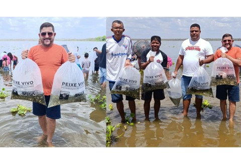 Vereador Abimael de Piaus Recebe Alevinos da Bahiapesca